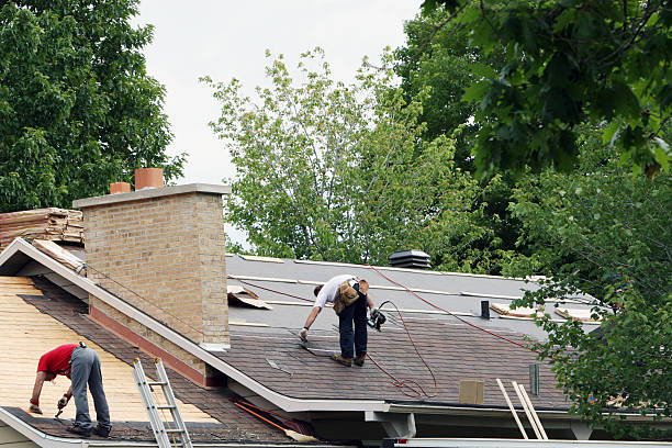 Best Roof Gutter Cleaning  in Stephens City, VA