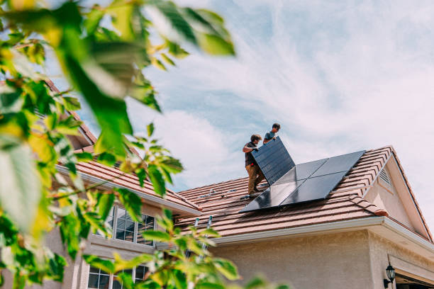 Best Roof Gutter Cleaning  in Stephens City, VA
